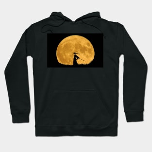 Samurai at night Hoodie